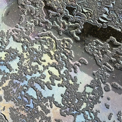 Summer Time Blues X Snap Yo Fingas