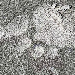 Foot Prints Tribute Series 4