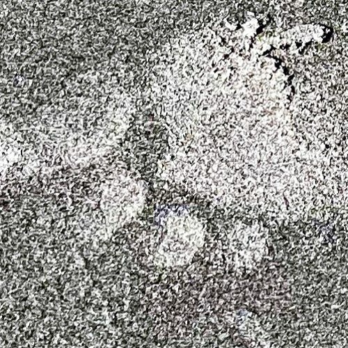 Foot Prints Tribute Series 4