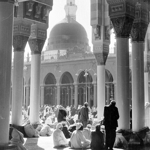 محمد