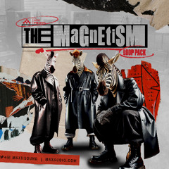 The Magnetism Loop Pack Demo