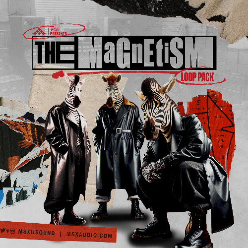 The Magnetism Loop Pack Demo