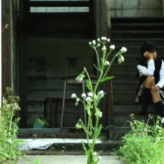 漣さざなみ(demo)