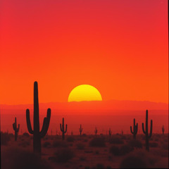 Looking for a can of Ammo