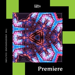 PREMIERE: EZEK & Vincenzo Sarti - Wonderland [Androgyne Audio]