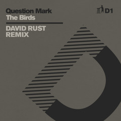 Question Mark, David Rust - The Birds (David Rust Remix - D1)