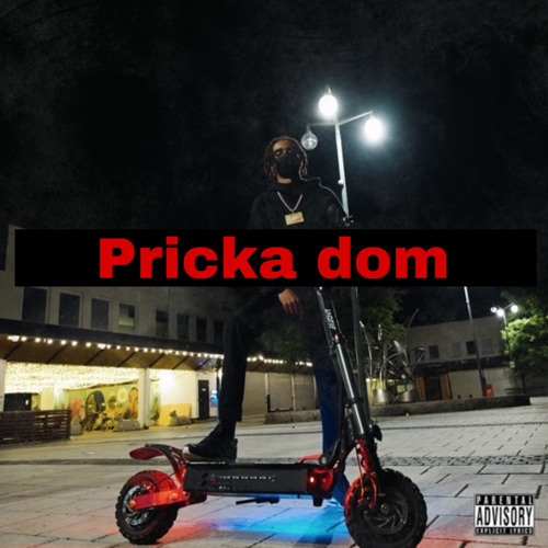 Shacki x 1.Cuz Type Beat - PRICKA DOM