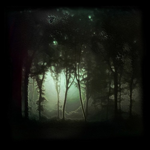 Ziqada x Tryptophant - Spectres Of The Eldritch Thicket