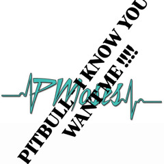 PITBULL - I KNOW YOU WANT ME ( PMOSES HYPE EDID 2025 )
