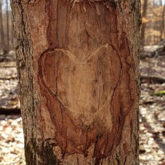 I Said I Was Going And I Went