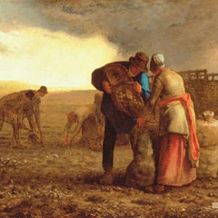 The harvest