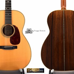 Froggy F12 Dlx RW F1105 2006 Ch1