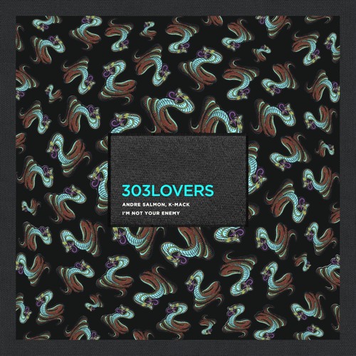 Andre Salmon, K-Mack - I'm Not Your Enemy