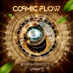 01. Cosmic Flow - Synchronicity