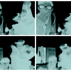 Spooked, Porked: Pigs of the Sound