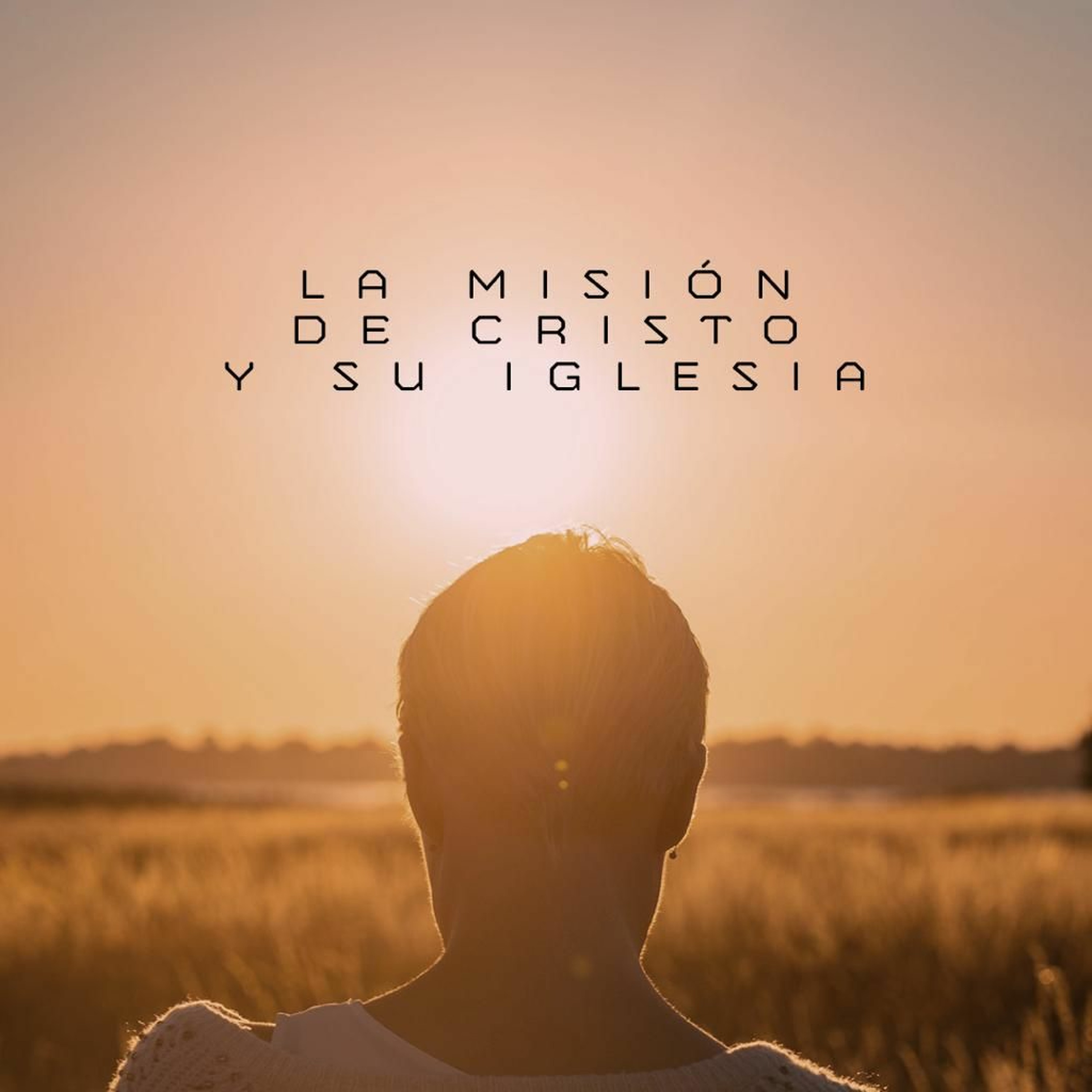 Viña Oeste La Guácima