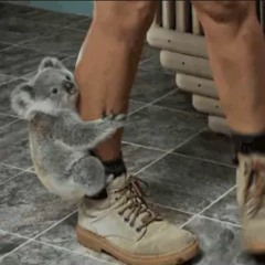 Our Biggest Party Tunes from 2022 so far - all Free DLs via individual tune