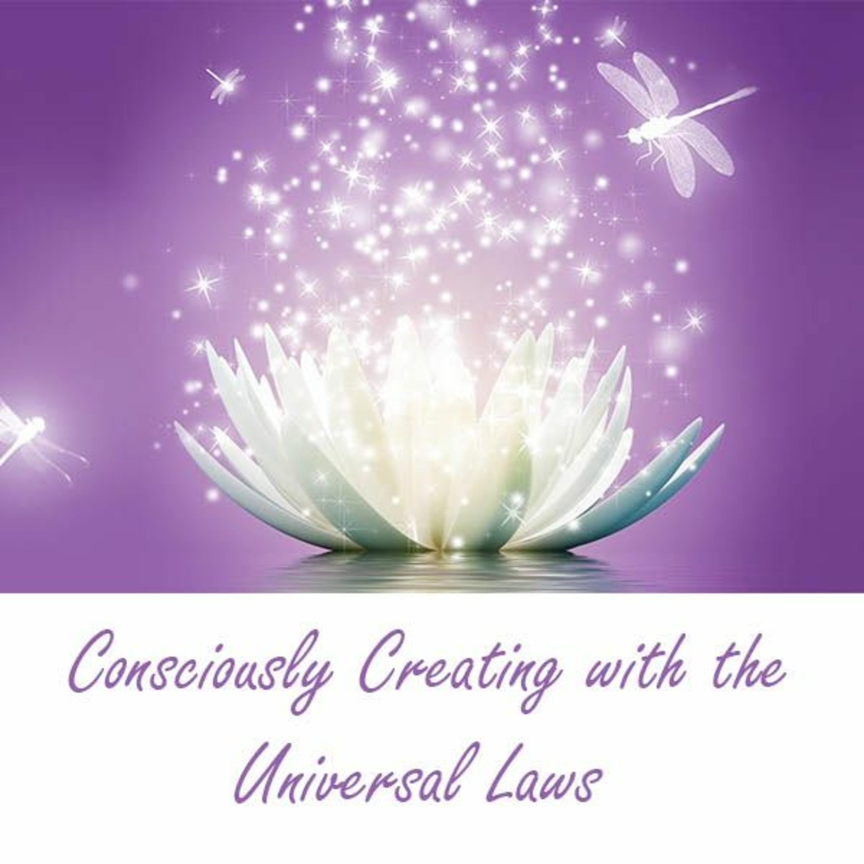Quantum Consciousness Podcast