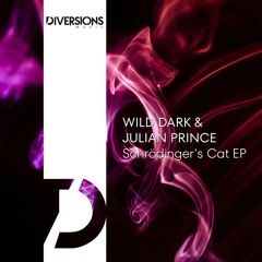 Premiere: Wild Dark, Julian Prince - Schrödinger's Kiss [Diversions Music]