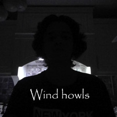 Wind howls
