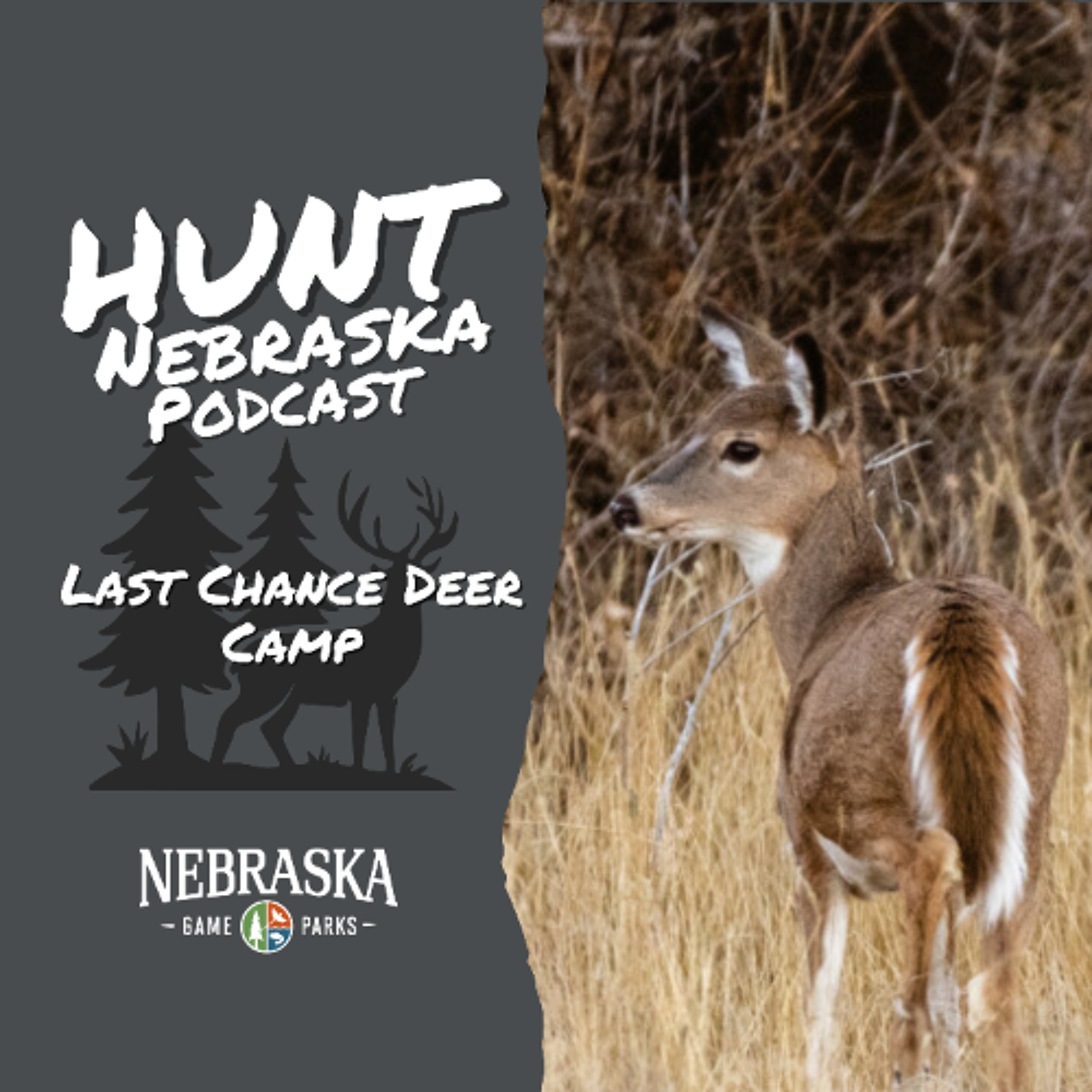 Last Chance Deer Camp