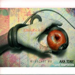 𝗪𝗶𝗻𝗱𝗰𝗮𝘀𝘁 #9 : Aka-Tony ༄ Last Temptation