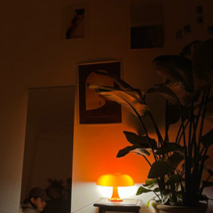 Kasi - abendrot (Trance Edit) [Free DL]