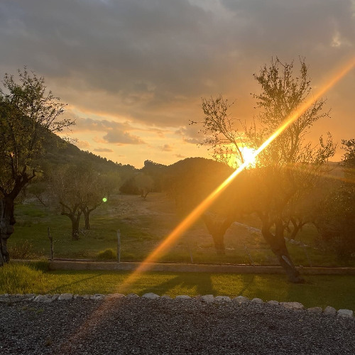 MagicMax@RealityUpgradeRetreat_MushroomMix_Pt3