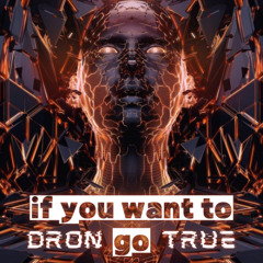 DRoN TRuE - If You Want To Go