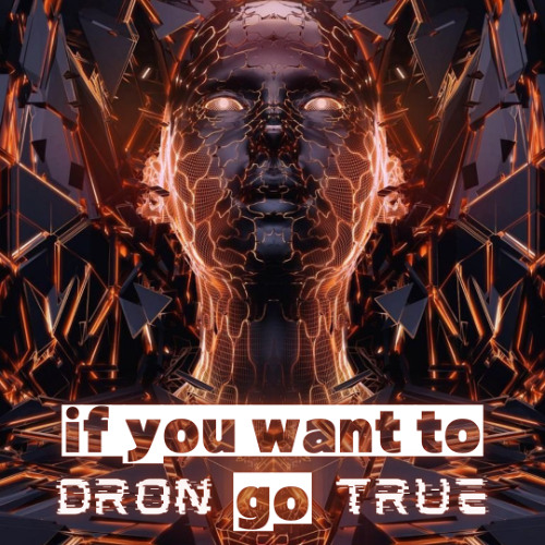 DRoN TRuE - If You Want To Go