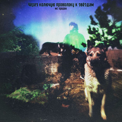 РАЗРЫВ СИГМОВИДНОЙ КИШКИ - мс пророк, dezza