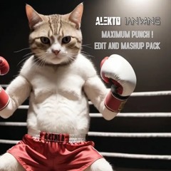 Maximum Punch! Hardstyle Edit & Mashup Pack 2025