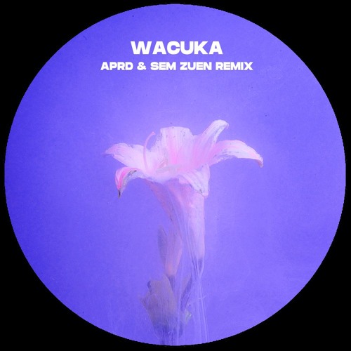 Wacuka (APRD & Sem Zuen Remix)