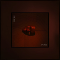 Flesh and Bone