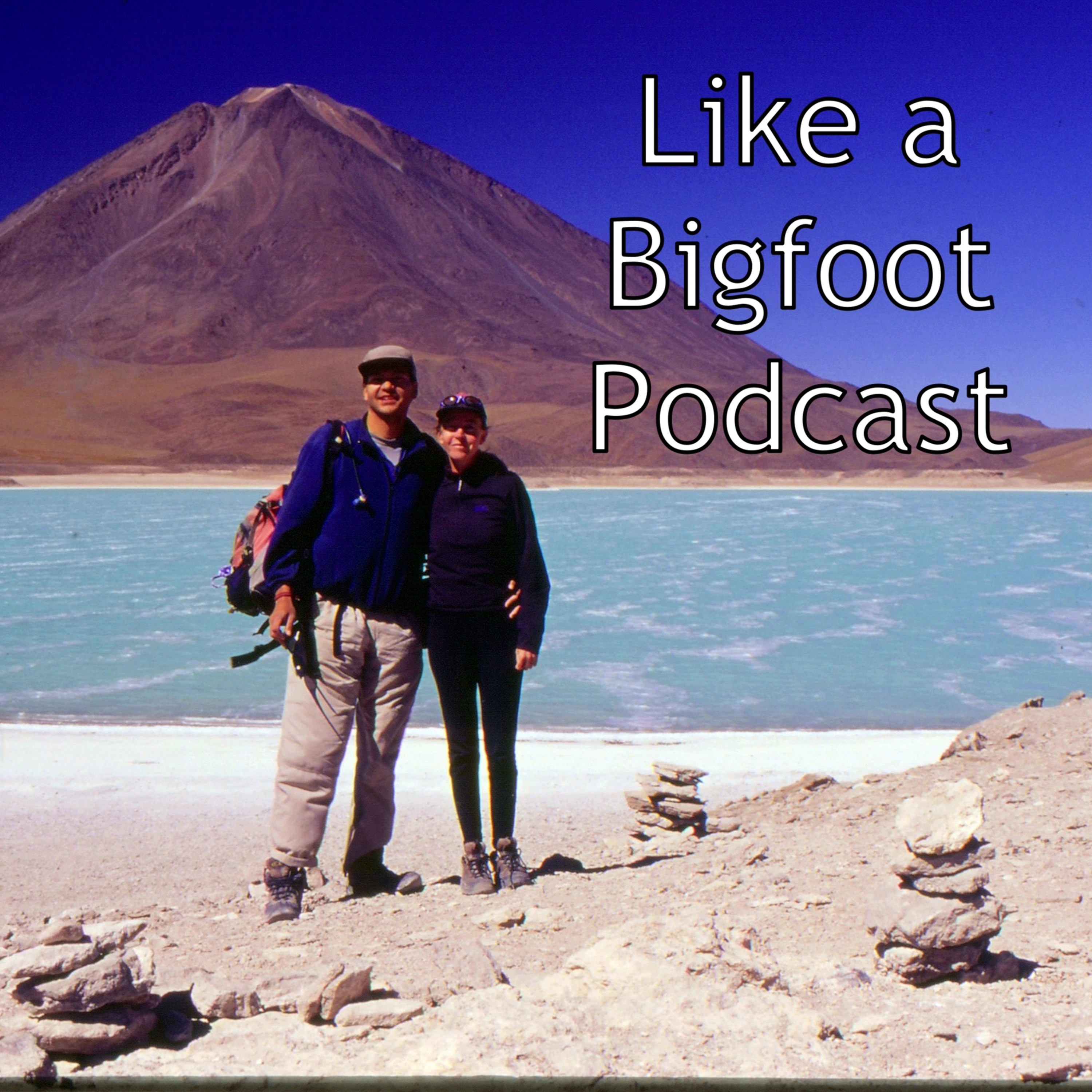 #264: Tonya Littlehales & Geof Hasegawa -- Cycling from the Arctic Circle to Argentina episode artwork