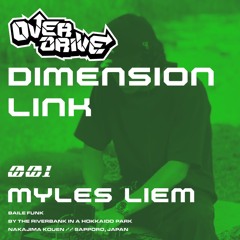 DIMENSION LINK // OUTDOOR MIXES