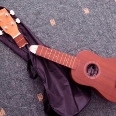 Disobedient - Steven Universe Cover