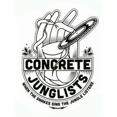 Rens Liquid DnB Sets V1