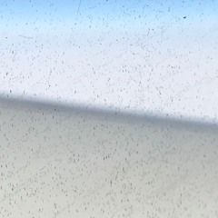 I See Spam Blue
