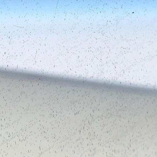 I See Spam Blue