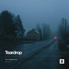 NF x Jelly Roll Type Beat - "Teardrop" Instrumental