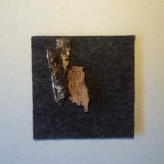 Ping Gong Platte
