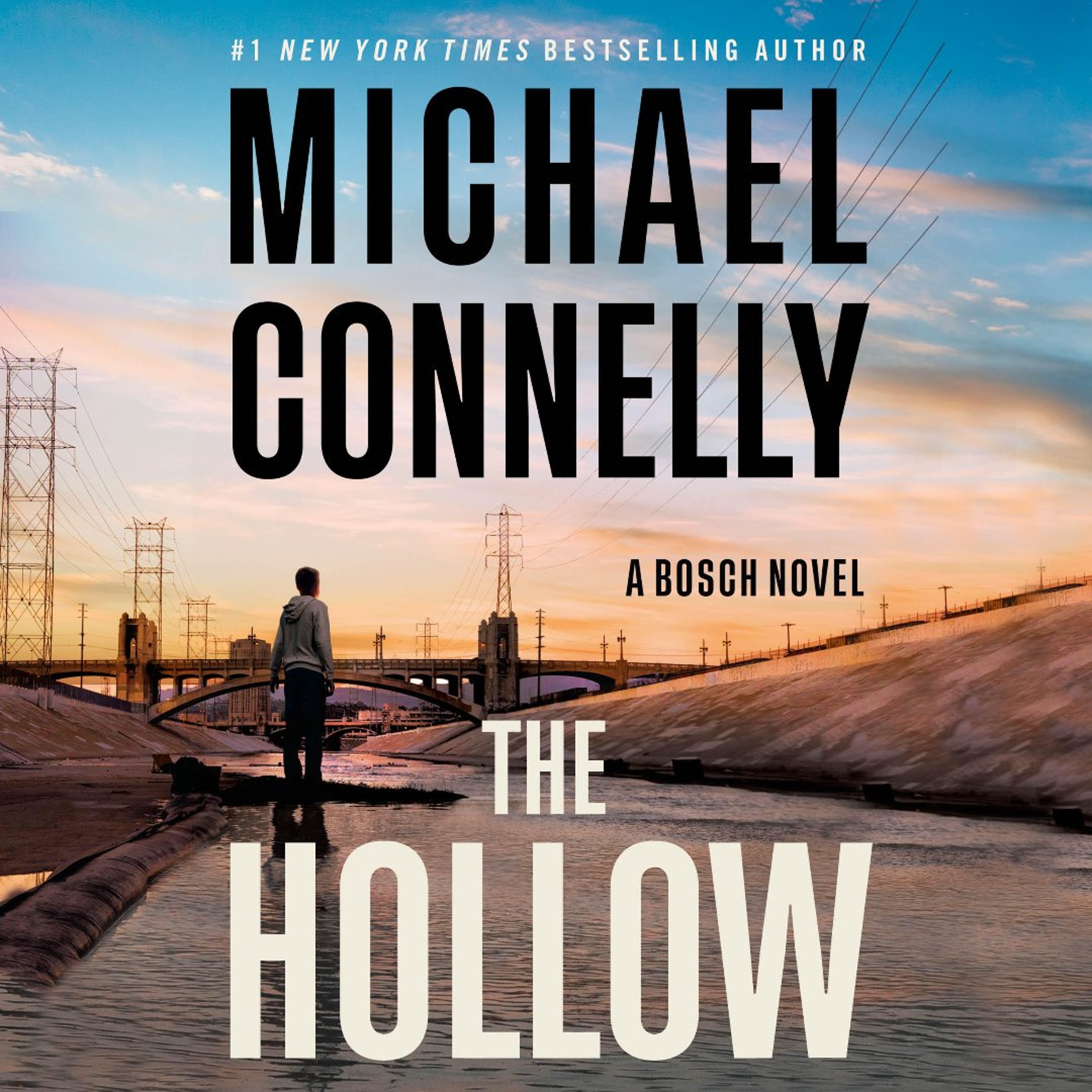 The Hollow by Michael Connolly, Read by Titus Welliver and Cameron Monaghan