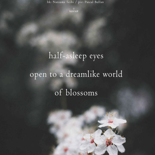 half-asleep eyes [naviarhaiku611]