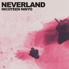 neverland (prod. Bartes)