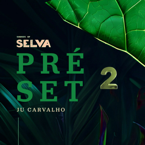 PRÉ SET SELVA 2 - B-SIDE (Ju Carvalho)