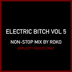 ELECTRIC BITCH VOL 5 NON-STOP MIX BY ROKO