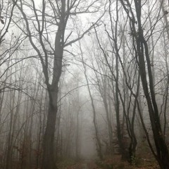 Пасиурненько