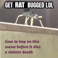 GetRatBuggedLOL
