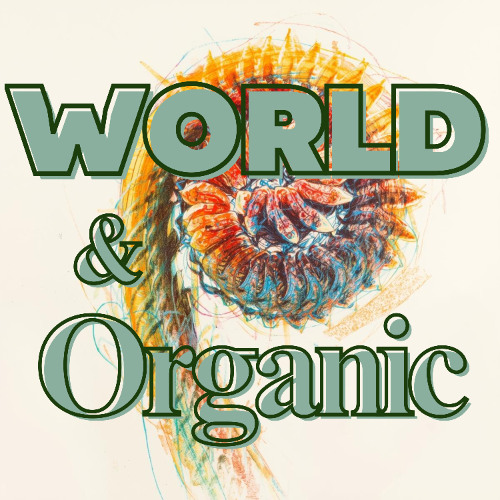 🌿40) Meditative_World_Drone — (Calm_SpiritualAmbient_65BPM_YogaDoc) (🌿 World & Organic)